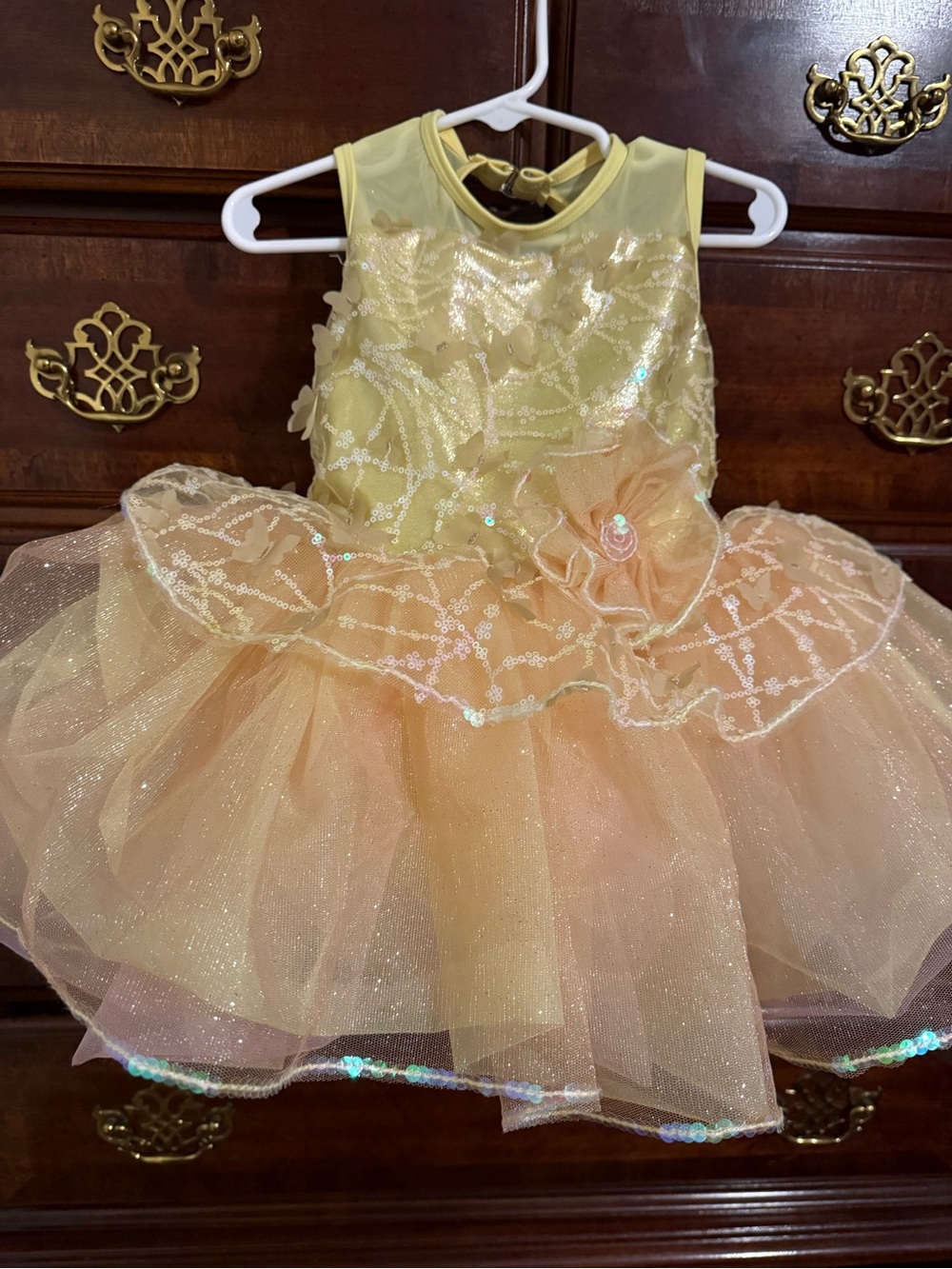 Girls Yellow Tulle Costume Dress